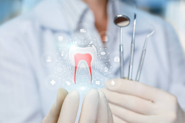 Best Preventive Dentistry  in San Felipe, TX